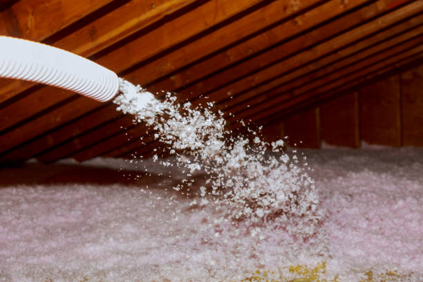 Best Residential Insulation in Ruleville, MS