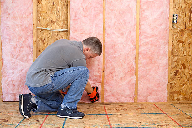 Best Residential Insulation in Ruleville, MS