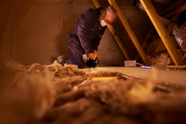 Best Types of Insulation in Ruleville, MS